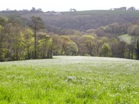 The wooded valleys of Littleham